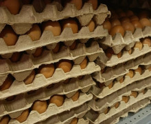 Перед Пасхой в Калининграде возник дефицит белых яиц в торговых точках