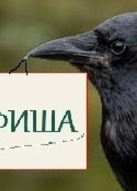 Концерт и ужин в музыкальной гостиной «Солёная ворона»