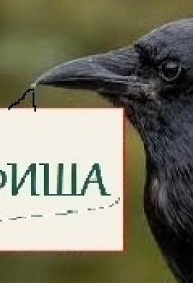 Концерт и ужин в музыкальной гостиной «Солёная ворона»