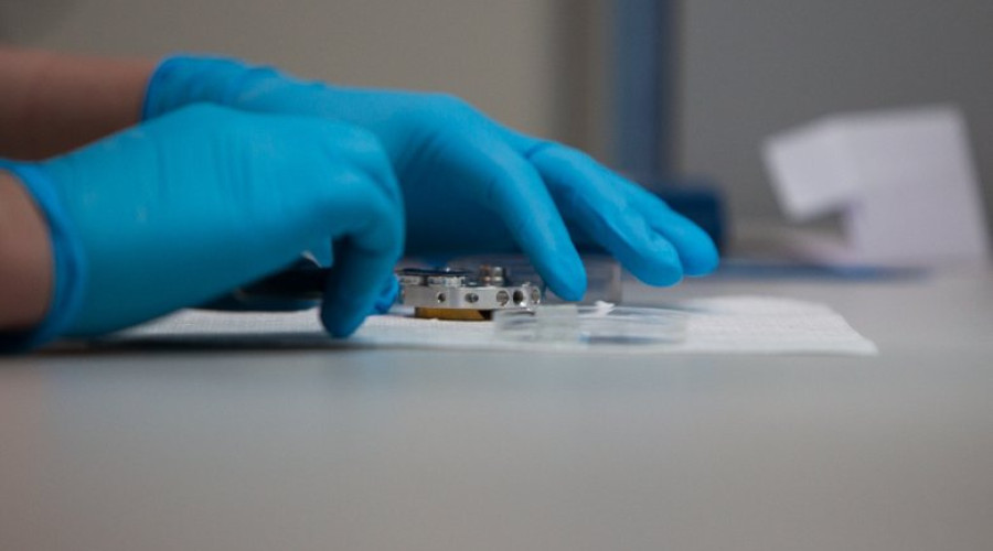 Анна Попова: вирус оспы обезьян вышел на рекордные показатели контактов с человеком