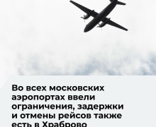 В московских аэропортах приостановили приём и отправку рейсов из-за плана «Ковёр»