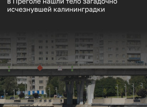 Тело 71-летней калининградки, пропавшей 3 июля, обнаружено в Преголе