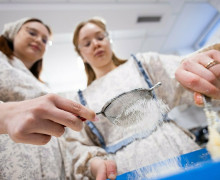 В трапезной храма Константина и Елены готовят куличи и красят яйца к Пасхе