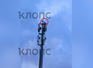 В Калининграде на Сельме подросток забрался на вышку на фоне заката