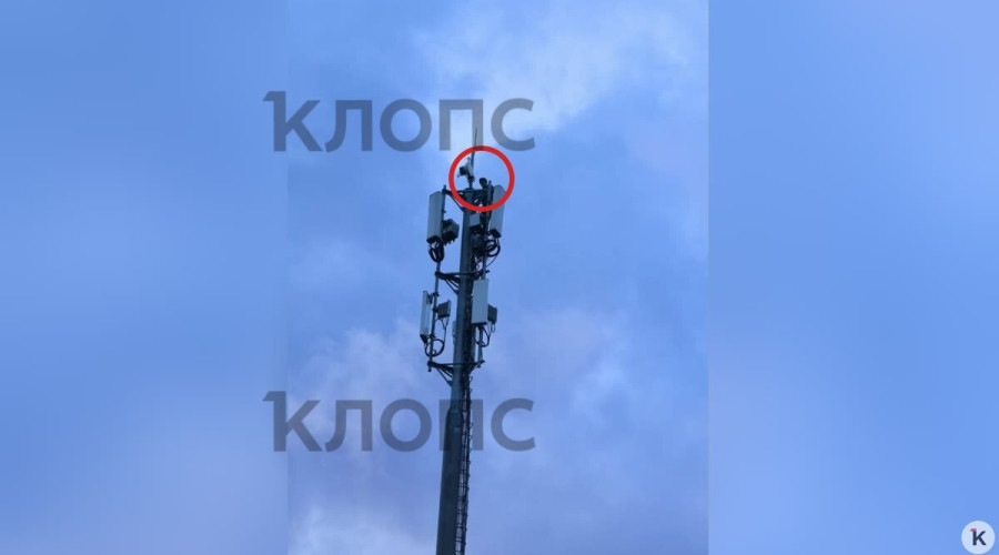 В Калининграде на Сельме подросток забрался на вышку на фоне заката