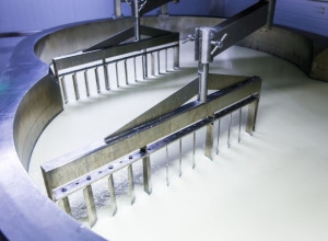 Группа компаний «Атлантис» получила разрешение на ввод в эксплуатацию молочного завода в Калининграде