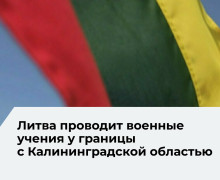 В учениях «Удар Кястутиса» задействованы около 650 военнослужащих и более 140 единиц техники