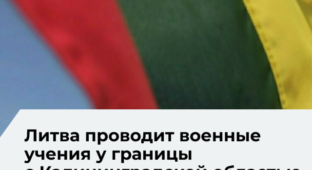 В учениях «Удар Кястутиса» задействованы около 650 военнослужащих и более 140 единиц техники