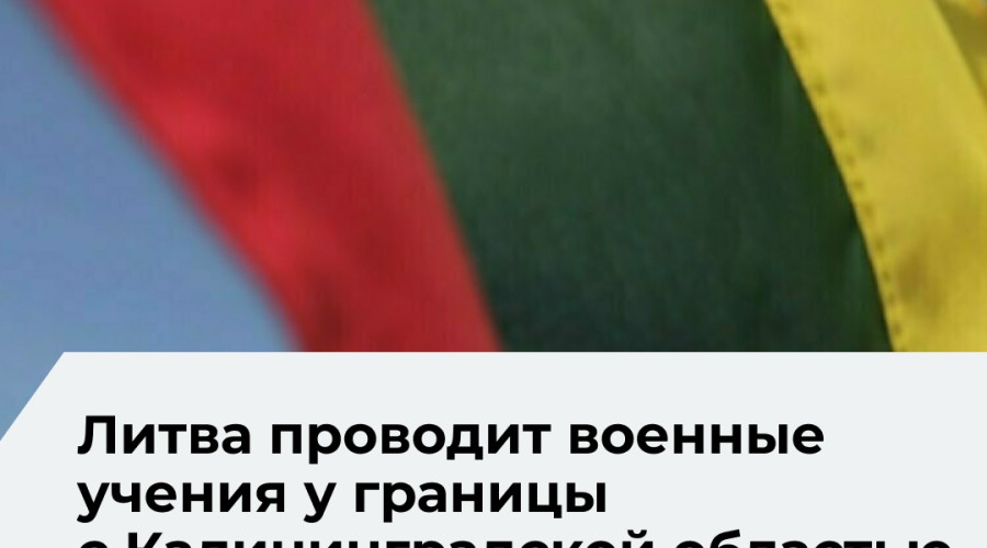 В учениях «Удар Кястутиса» задействованы около 650 военнослужащих и более 140 единиц техники
