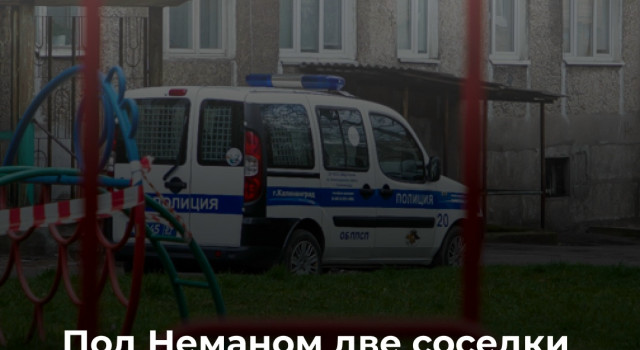 В Неманском районе конфликт между детьми перерос в драку взрослых