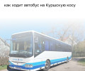 Автобусный маршрут №593 Калининград — Морское возобновляет работу с 1 мая