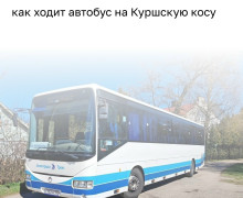 Автобусный маршрут №593 Калининград — Морское возобновляет работу с 1 мая