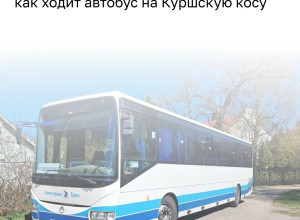 Автобусный маршрут №593 Калининград — Морское возобновляет работу с 1 мая