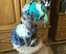 Спустя 54 года: калининградская пара повторила снимок у Кафедрального собора