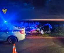 Уголовное дело возбуждено после смертельного ДТП с велосипедистом под Неманом