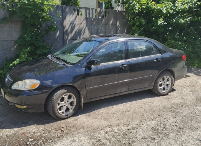Toyota Corolla, 2003