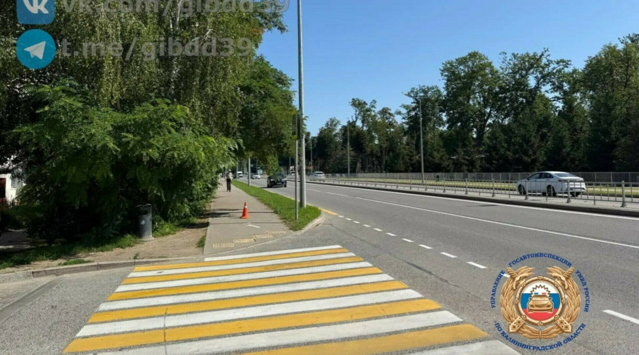 В Гурьевске водитель электросамоката сбил пенсионерку и скрылся