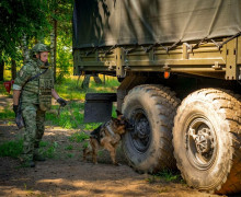 Бельгийская овчарка Бумер из Калининграда стала лучшей на Северо-Западе среди патрульно-розыскных собак