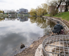 Нижнее озеро в Калининграде значительно обмелело