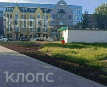 В Калининграде будущий газон на Фрунзе привлёк внимание голубей