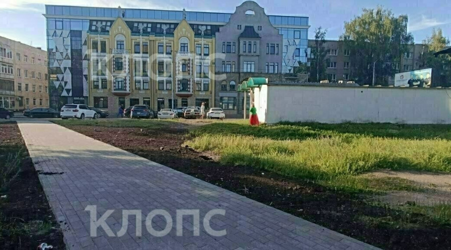 В Калининграде будущий газон на Фрунзе привлёк внимание голубей