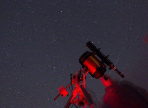 Учёные выяснили, как невесомость влияет на сперматозоиды: они теряют ориентацию