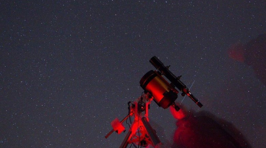 Учёные выяснили, как невесомость влияет на сперматозоиды: они теряют ориентацию