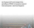 Семейная пара с велосипедами не смогла уехать на автобусе на Куршской косе