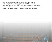Семейная пара с велосипедами не смогла уехать на автобусе на Куршской косе