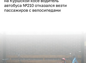 Семейная пара с велосипедами не смогла уехать на автобусе на Куршской косе