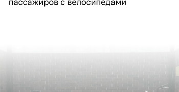 Семейная пара с велосипедами не смогла уехать на автобусе на Куршской косе