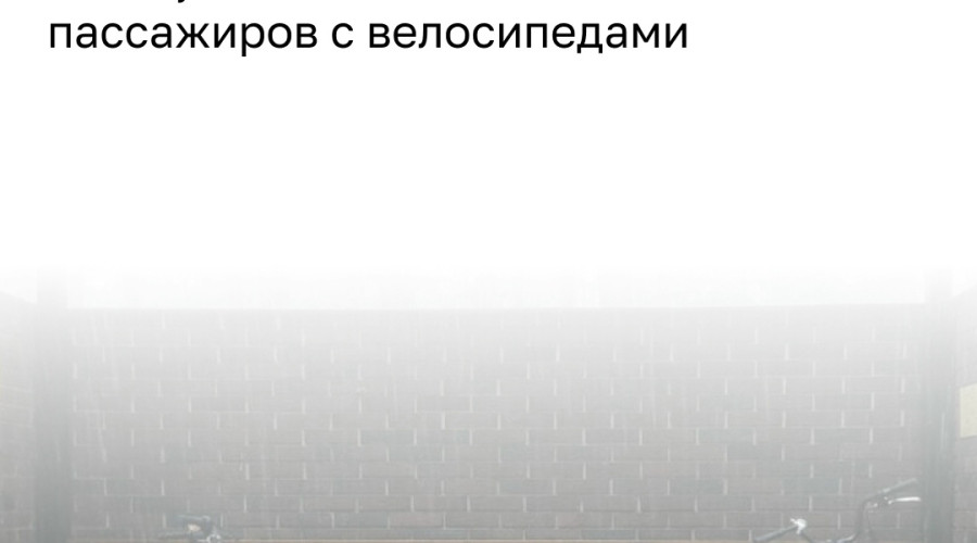 Семейная пара с велосипедами не смогла уехать на автобусе на Куршской косе
