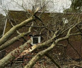 В Светлогорске дерево рухнуло на дом врача: семья мёрзнет под дырявой крышей
