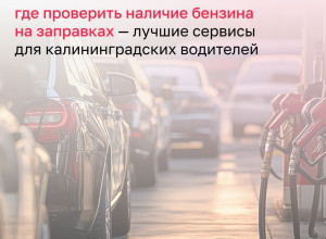 Как водителям в Калининградской области найти работающую АЗС с нужным топливом