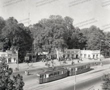 Каким был Калининградский зоопарк в прошлом веке: история восстановления после войны