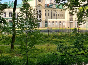 Непривычные ракурсы Калининграда: город из зелёного пояса