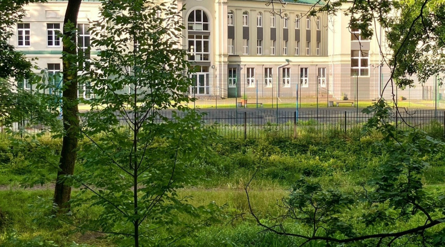 Непривычные ракурсы Калининграда: город из зелёного пояса