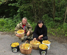 «Шли и плакали от счастья»: в лесах Калининградской области собирают рекордные урожаи грибов