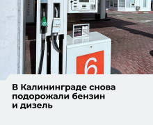 В Калининграде на крупных сетевых АЗС вновь подорожали бензин и дизель