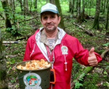 В Черняховском округе собирают лисички ведрами и встречают краснокнижные грибы