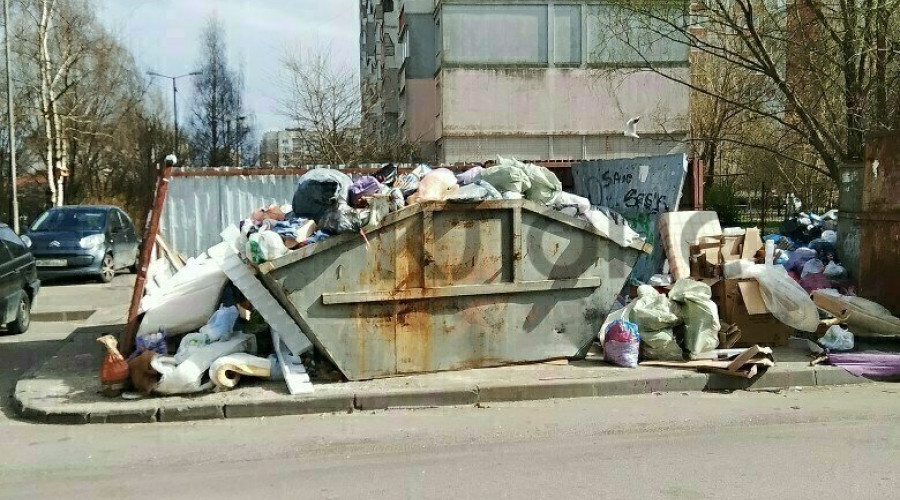 Четыре улицы Калининграда с переполненными контейнерными площадками