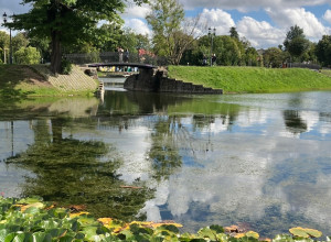 Пруд Близнецы (Поплавок) в Амалиенау: романтичное место с чистой водой и красными лотосами