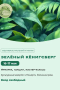 В эти выходные в культурном квартале «Понарт» пройдёт фестиваль «Зелёный Кёнигсберг»