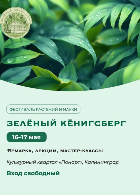 В эти выходные в культурном квартале «Понарт» пройдёт фестиваль «Зелёный Кёнигсберг»