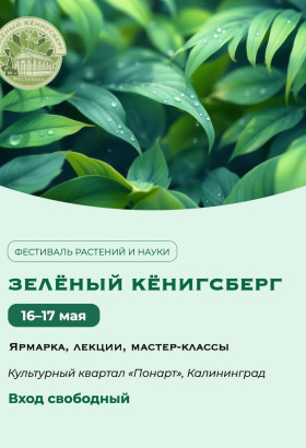 В эти выходные в культурном квартале «Понарт» пройдёт фестиваль «Зелёный Кёнигсберг»