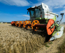 В Калининградской области идёт активная уборочная кампания