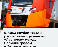 Сдвоенные «Ласточки» запустят по выходным между Калининградом и Зеленоградском-2 с 6 июня