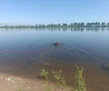 В Советске продолжаются поиски 25-летнего мужчины, пропавшего во время купания в реке