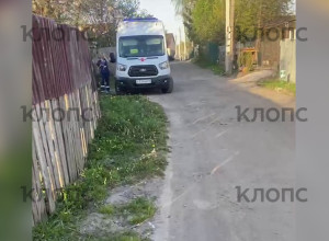 «То на землю падает, то прячется»: калининградец обнаружил в СНТ девочку-инвалида, сбежавшую от родителей