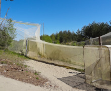 Орнитологическая станция Росситтен (Фрингилла)